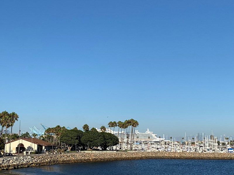 Coastline with palm trees and a marina in the distance.