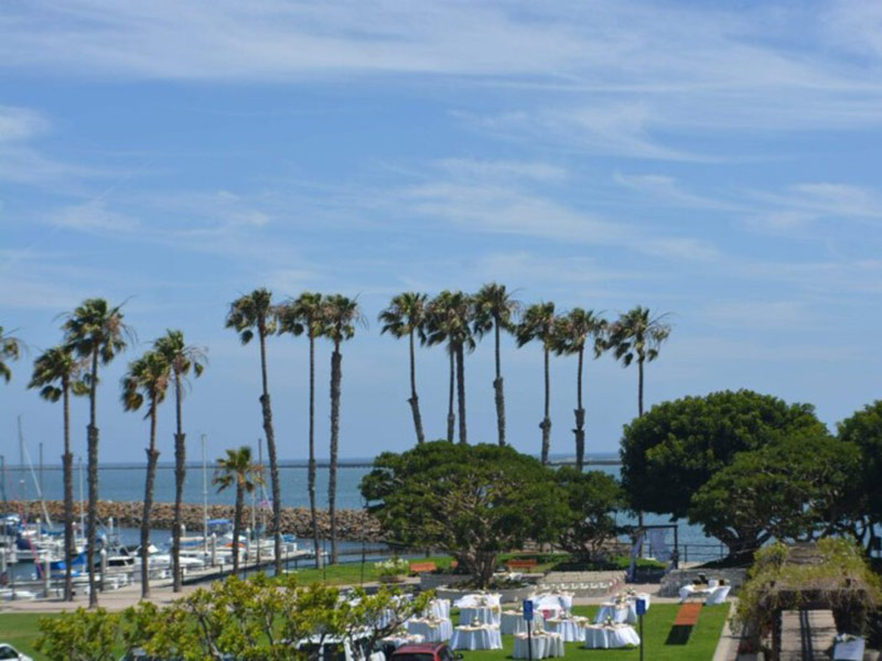 Palm trees by a marina with tables on a lawn.